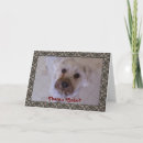 Buscar schnauzer tarjetas Animales