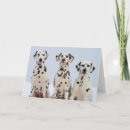 Buscar dalmation Perrito