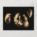 Buscar amor animal postales Para ella