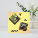 Buscar perezoso tarjetas Animal