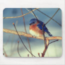 Buscar winter alfombrillas de raton Fotografía