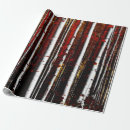 Buscar birch papel de regalo Bosque