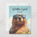 Buscar marmota tarjetas Vida silvestre