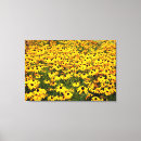Buscar susans arte Girasoles