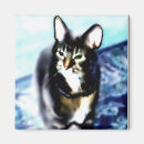 Buscar psychadelic Gatito