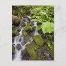 Buscar agua borrosa postales Naturaleza