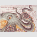 Buscar map papel de seda Náutico