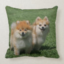 Buscar perro de pomerania enano cojines Sacudida y pam langrish
