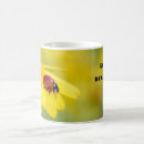 Buscar ladybug clasicas tazas Para todos