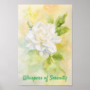 Buscar gardenias posters Para todos