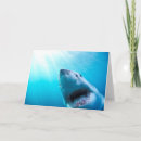 Buscar mandíbula tarjetas Tiburón