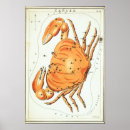 Buscar cancer posters Zodiac