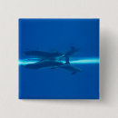 Buscar reflexión chapas Azul