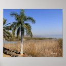 Buscar mar de galilea posters Oriente medio