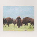 Buscar nativo americano puzzles Paisaje