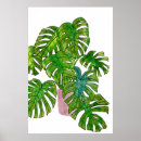 Buscar hojas grandes posters Plantas