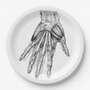 Buscar anatomía papel platos Vintage