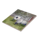 Buscar ovejas azulejos Campo