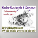 Buscar optometristas posters Médicos