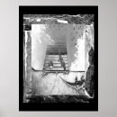 Buscar cocodrilos posters Coligador