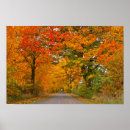 Buscar del colorfull Paisaje