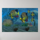 Buscar peces de agua salada posters Mar