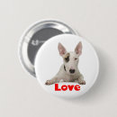 Buscar toro chapas Cachorro