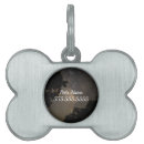 Buscar cosmos collares Para mascotas