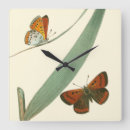 Buscar mariposa colorida relojes de pared Mariposas