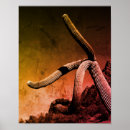 Buscar cactus arte Blanco y negro