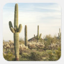 Buscar cactus del saguaro pegatinas Exterior