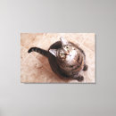 Buscar gato de tabby lienzos Animal