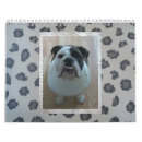Buscar inglés calendarios Bulldog