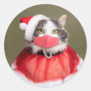 Buscar papá noel postales 9 º gata