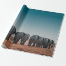 Buscar etosha Naturaleza