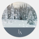 Buscar winter wedding postales Bosque