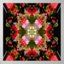 Buscar begonias posters Rojo