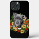 Buscar pitbull iphone fundas Amante de pitbull