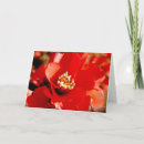 Buscar granadas tarjetas Flor