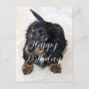 Buscar doxies tarjetas General y unisex