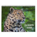 Buscar leopardo calendarios Nieve