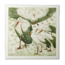 Buscar cigüeña azulejos Pájaros