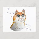 Buscar cara del gato postales Gatos