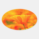 Buscar desierto manualidades Naturaleza