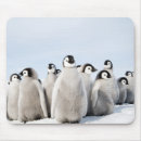 Buscar pinguino alfombrillas de raton Lindo