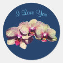 Buscar orquídeas pegatinas General y unisex