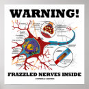 Buscar neurona posters Medicina