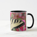 Buscar vigilante de pájaro tazas El birding