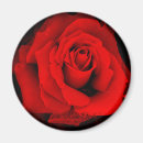 Buscar osaka imanes Rosa