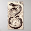 Buscar serpiente blanca posters Reptil